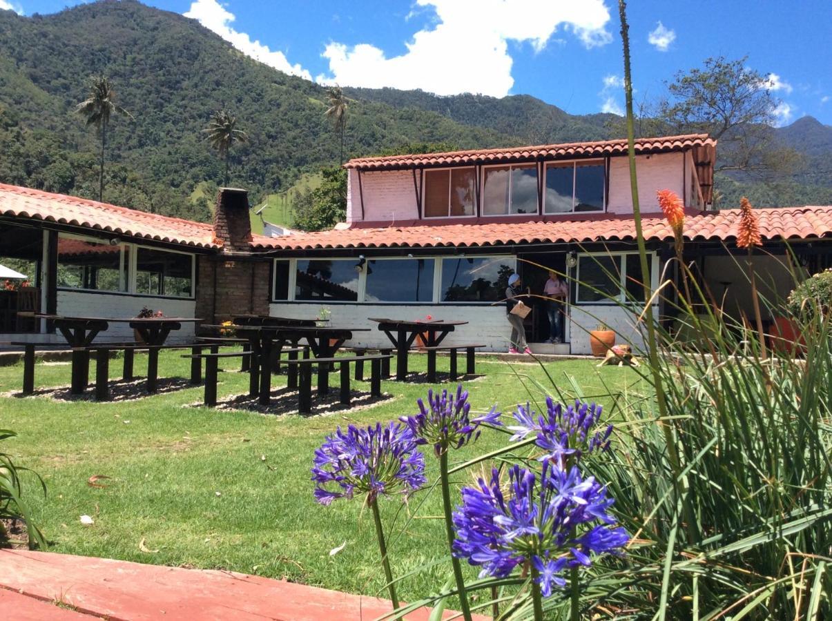 Palmas De Cocora Vendégház Salento Kültér fotó