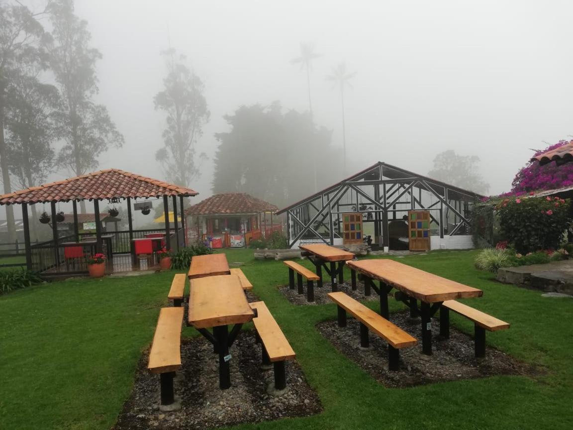 Palmas De Cocora Vendégház Salento Kültér fotó